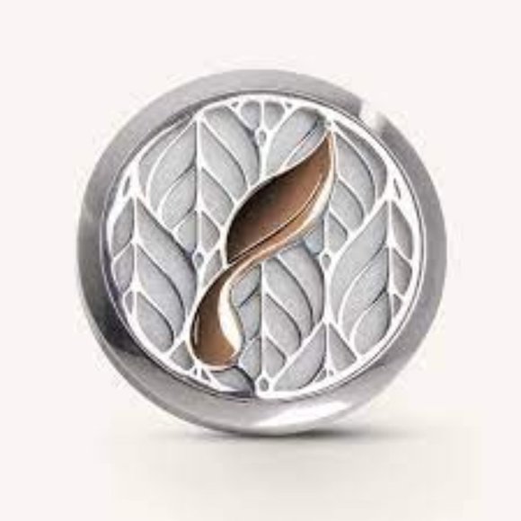 Car Vent Diffuser- set of 4 - Picture 2 of 3